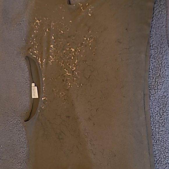 Dantelle Brown Short Sleeve Top with Gold Decal. - Picture 5 of 8